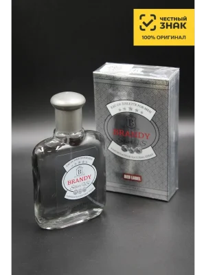 Туалетная вода для мужчин Бренди Сильвер Brandy Silver VS, 100 мл